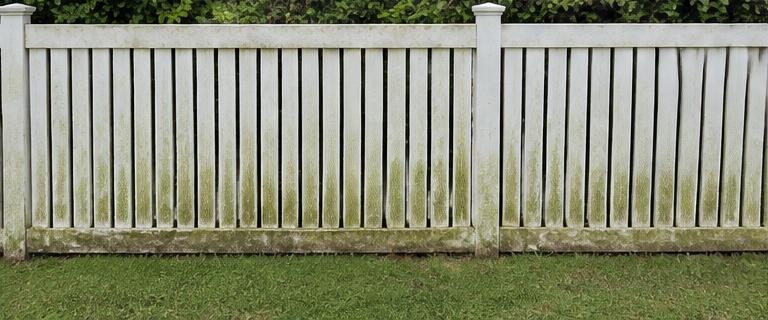Illustrative fence cleaning before cleaning