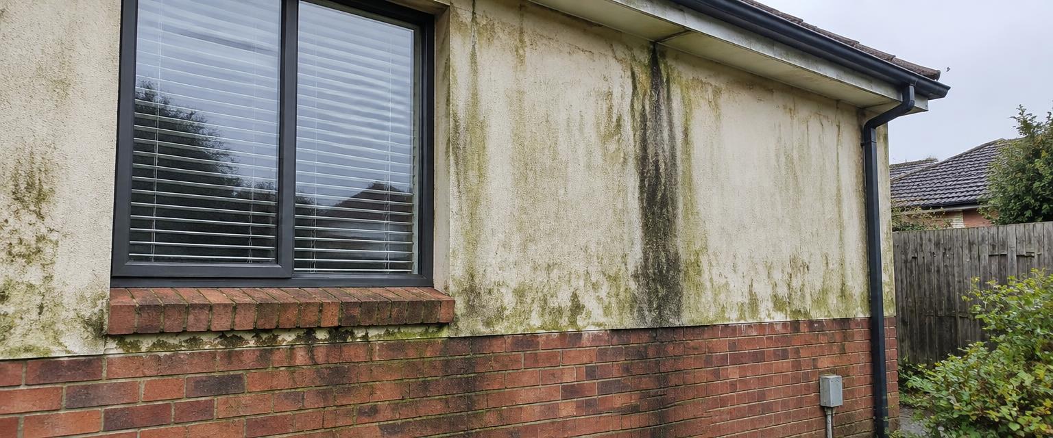 Illustrative exterior house soft washing before cleaning